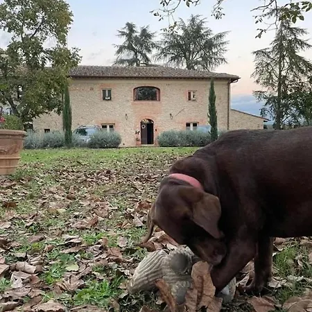 Feriegård La Segolina *