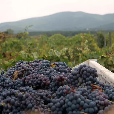 Feriegård La Segolina Colle di Val d'Elsa